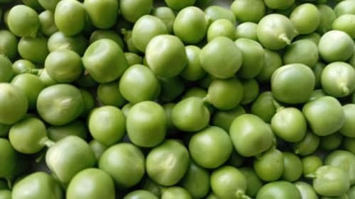 You are currently viewing GRAŠAK SKUPLJI OD PILETA