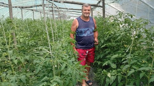 You are currently viewing ONO KADA SELO HRANI SRBIJU