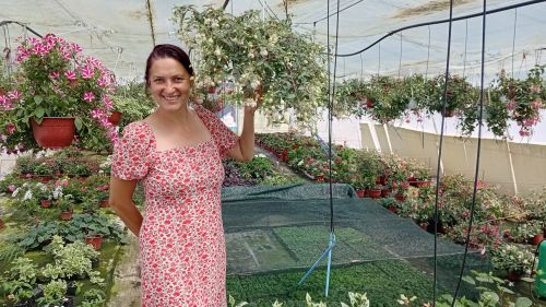 You are currently viewing ŽIVOT NA SELU KAO PREDNOST