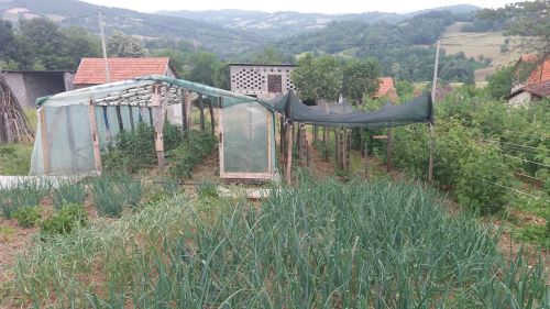 You are currently viewing OVO VEROVATNO NISTE ZNALI O LUKU