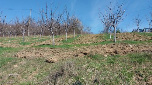 You are currently viewing POMOZITE SVOM VOĆU