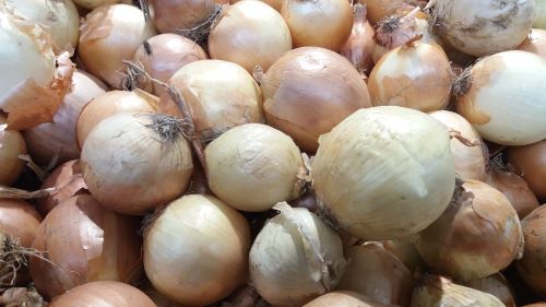 ttps://zelenanit.rs/krompir-i-luk