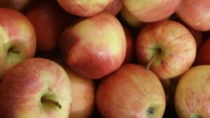 Read more about the article ŠTA SA JABUKOM POSLE BERBE?