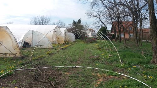 You are currently viewing PRIPREMA PLASTENIKA ZA ZIMU