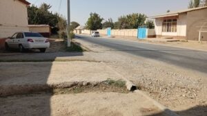 Read more about the article KAKO UZBEKISTANCI POSTIŽU DVE ŽETVE GODIŠNJE