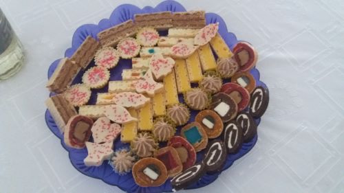 You are currently viewing SALMONELA, BOLEST KOJA VREBA