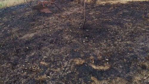 You are currently viewing PRESTANITE DA PALITE STRNJIŠTA