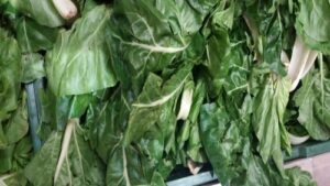 Read more about the article IZNENADIĆETE SE KOLIKO JE SKROMNA I USPEVA GOTOVO SVUDA. BLITVA KRALJICA HRANLJIVOSTI