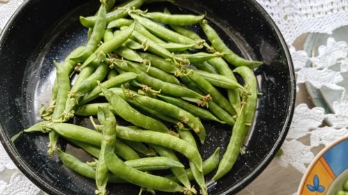 You are currently viewing SAVETI ZA DOBAR PRINOS GRAŠKA