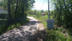 Read more about the article MLADI POLJOPRIVREDNICI RUŠE STARA PRAVILA I MENJAJU LICE SRPSKOG SELA