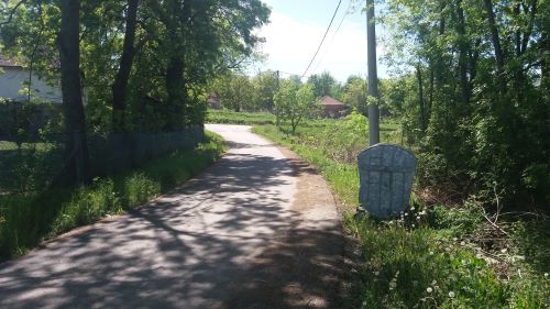 You are currently viewing MLADI POLJOPRIVREDNICI RUŠE STARA PRAVILA I MENJAJU LICE SRPSKOG SELA