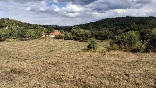 You are currently viewing RATARSKA PROIZVODNJA ZA MALE POVRŠINE: Može li 1–2 hektara doneti ozbiljnu zaradu?