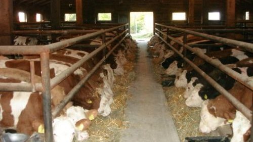 You are currently viewing STOČNI FOND SRBIJE NA IVICI KRAHA. FEBRUAR ODLUČUJE SUDBINU TOVA 2026.