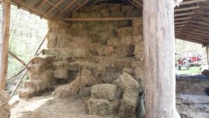 Read more about the article KAKO PROCENITI KVALITET SILAŽE BEZ LABORATORIJE