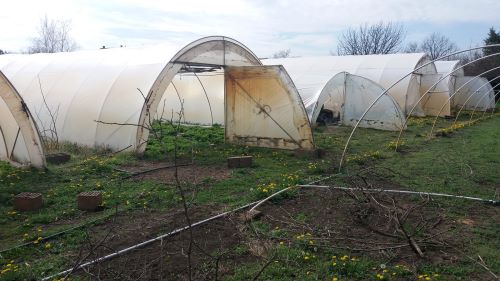 You are currently viewing KAKO ODRŽATI IDEALNU MIKROKLIMU U PLASTENIKU BEZ SKUPE OPREME