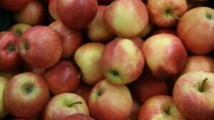 Read more about the article ŠTA SU GORKE PEGE NA JABUCI I KAKO IH IZBEĆI