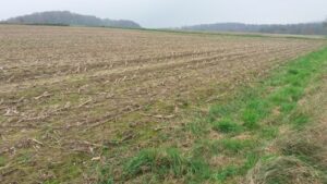 Read more about the article CENE ZAKUPA ZEMLJIŠTA POČELE DA RASTU