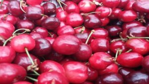 Read more about the article TREŠNJE PRED BERBOM. Hoće li cena ove godine oboriti rekorde?